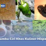 3 Bumbu Ciri Khas dari Kuliner Hispanik